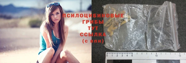 прущие крисы Кулебаки