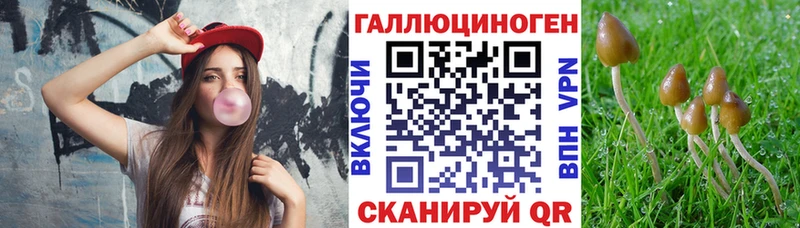 Галлюциногенные грибы Psilocybine cubensis  Купить закладки  Данков 